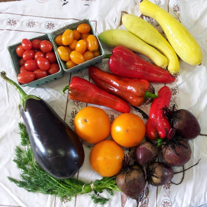 A weekly CSA share from Rootbound Farm