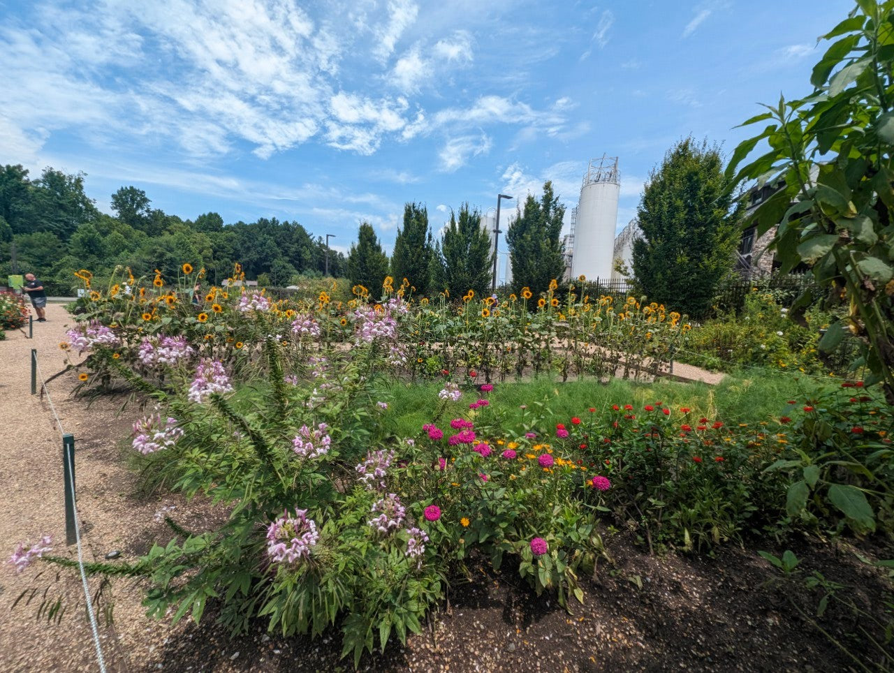 The Meaning in Each Garden