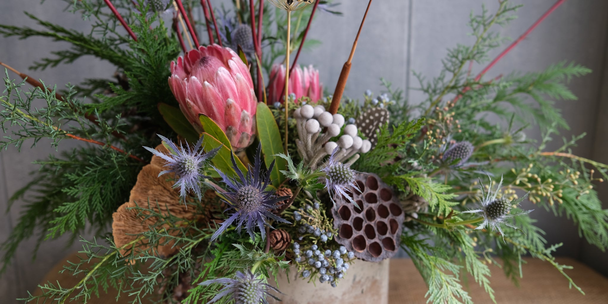 Calendula Pacific Beauty Blend – Michler's Florist, Greenhouses