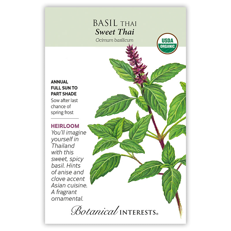 Basil Sweet Thai Seeds in Lexington KY Michler s Florist