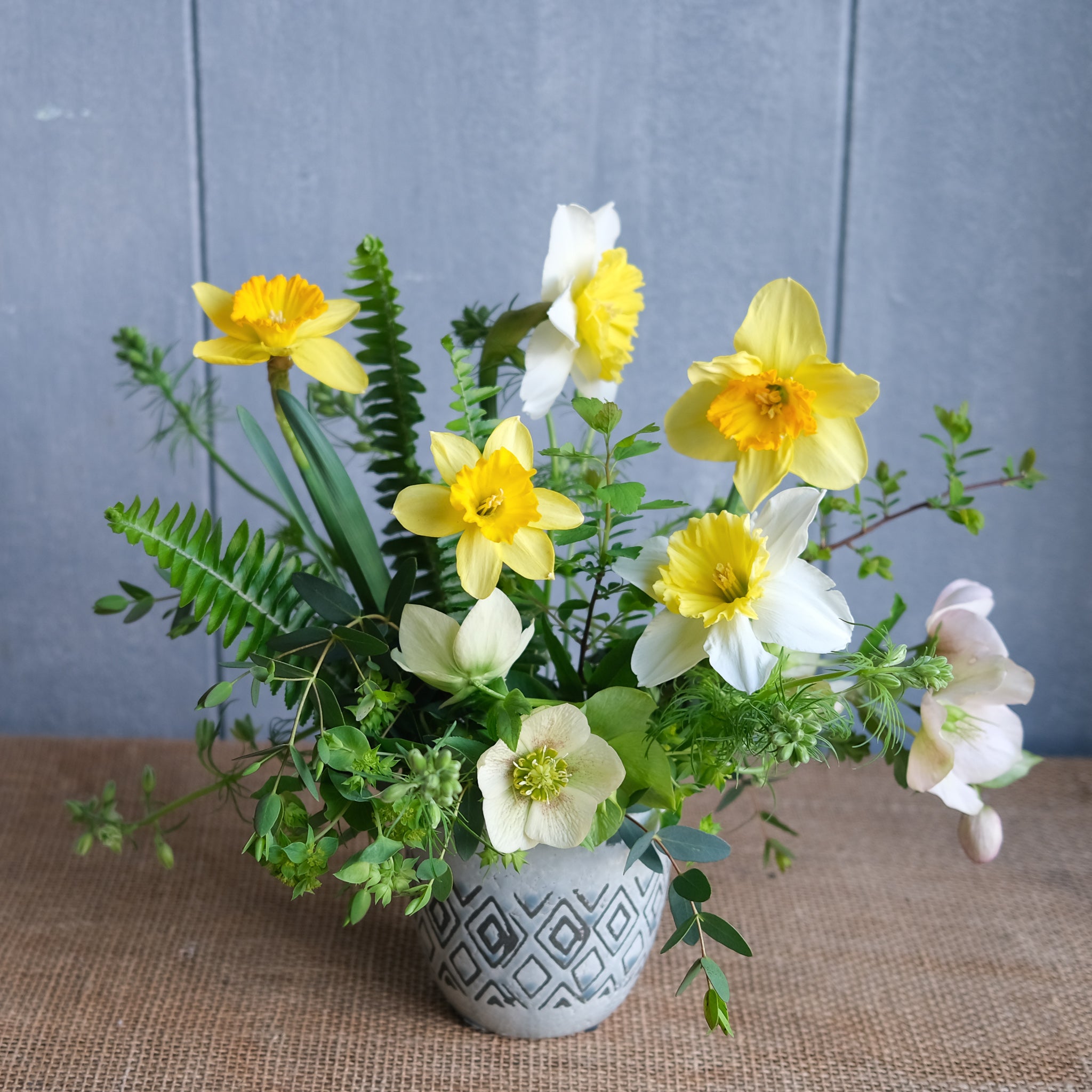 Pot of Daffodils l Michler Florist l Lexington Kentucky