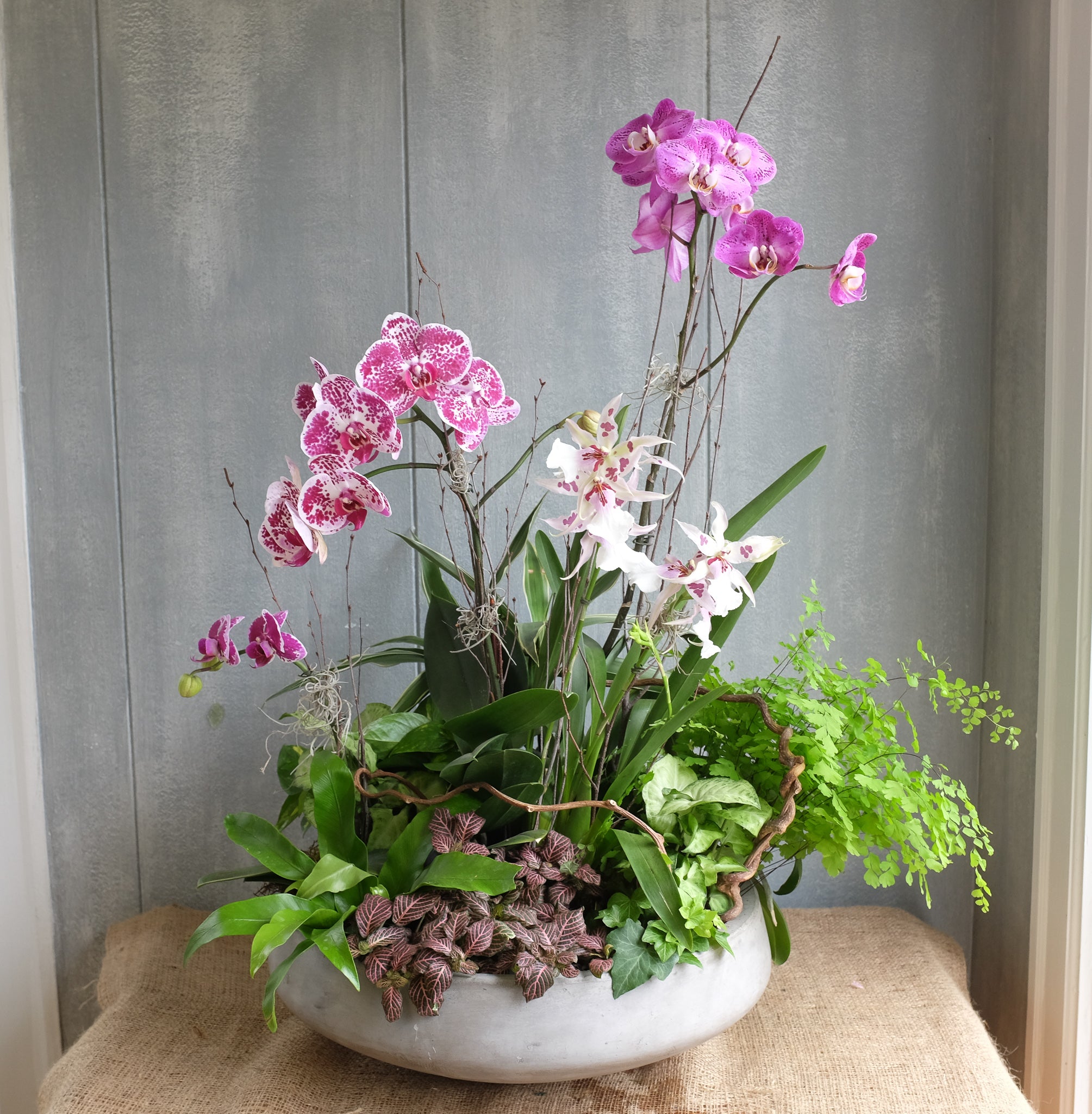 Garden with buy orchid